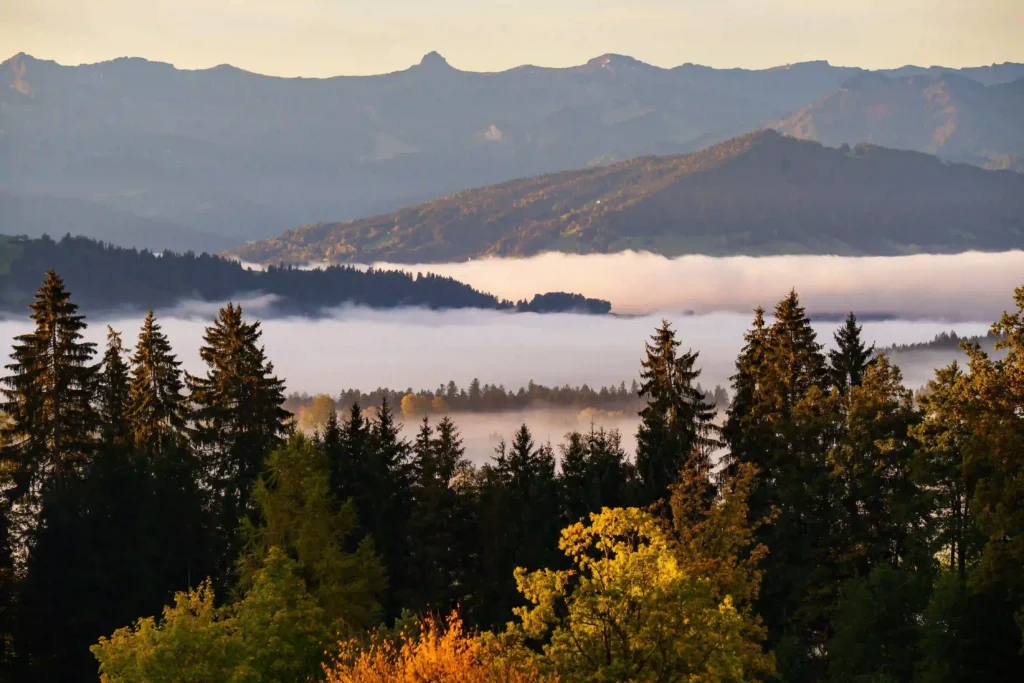 A tranquil view of forested mountains with morning fog settling over a peaceful valley.